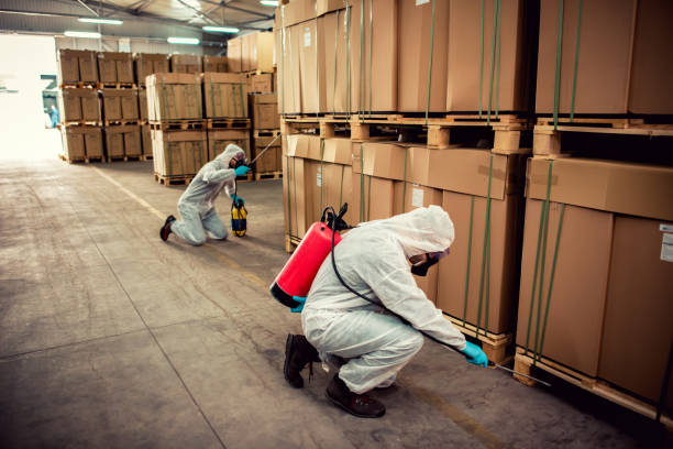 Best Pest Prevention Services  in Carmel, IN