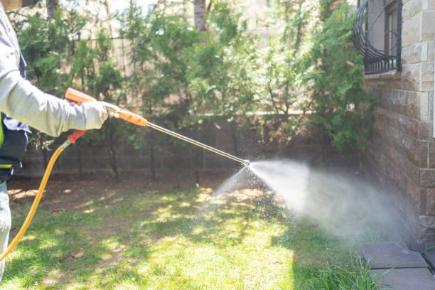 Best Pest Inspection Near Me  in Carmel, IN
